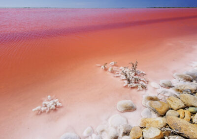 Salina Camargue Francia