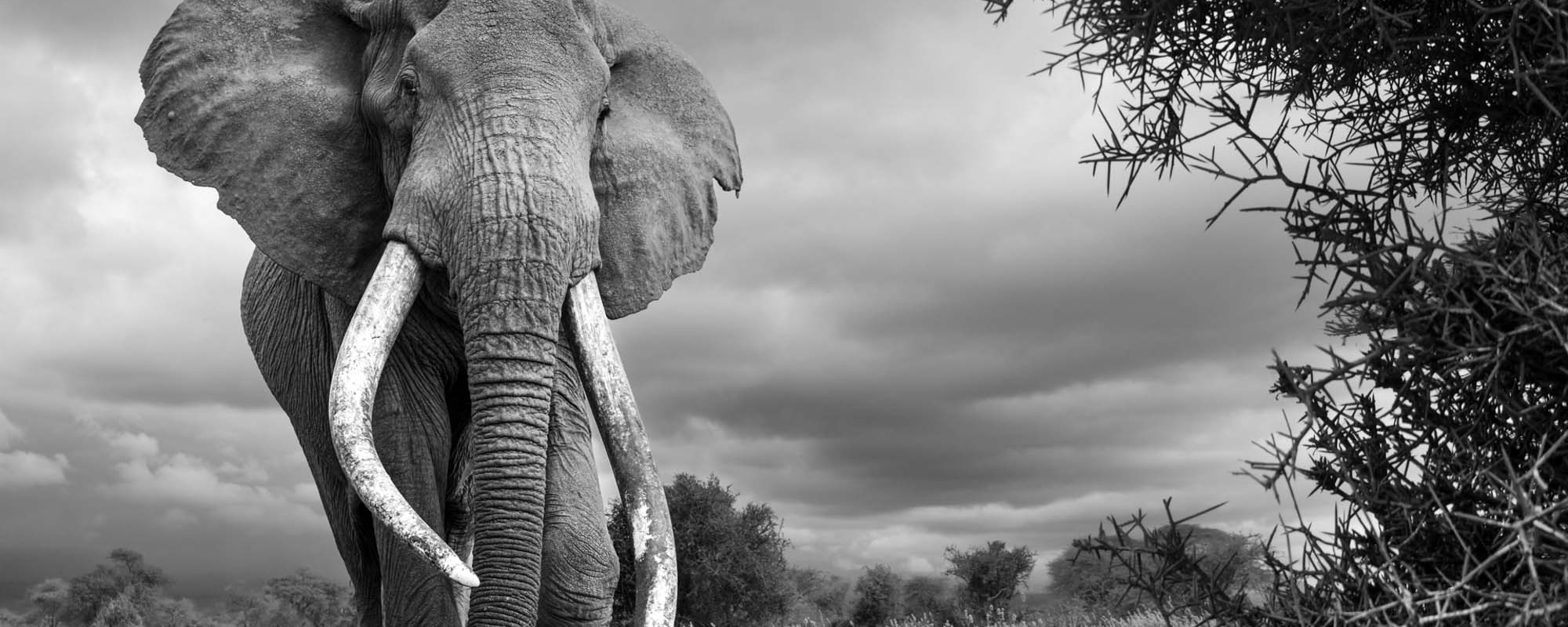 04 Photo Workshop Adventures Tuskers Kenya Johan Siggesson R