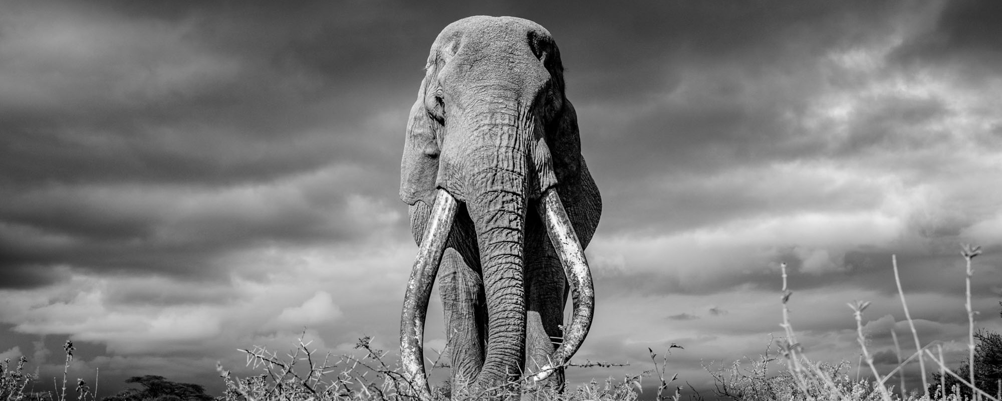 08 Photo Workshop Adventures Tuskers Kenya Johan Siggesson