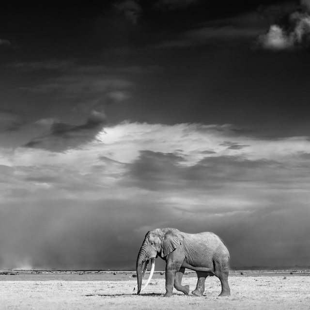 10 Photo Workshop Adventures Tuskers Kenya Johan Siggesson