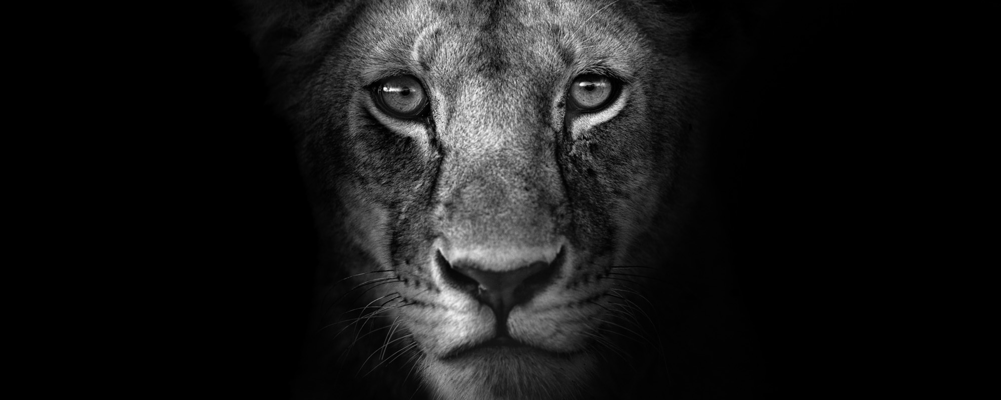 From The Shadows - John Siggesson - Photo Workshop Adventures