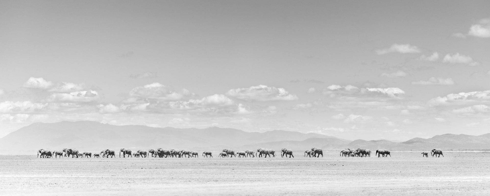 15 Photo Workshop Adventures Tuskers Kenya Johan Siggesson