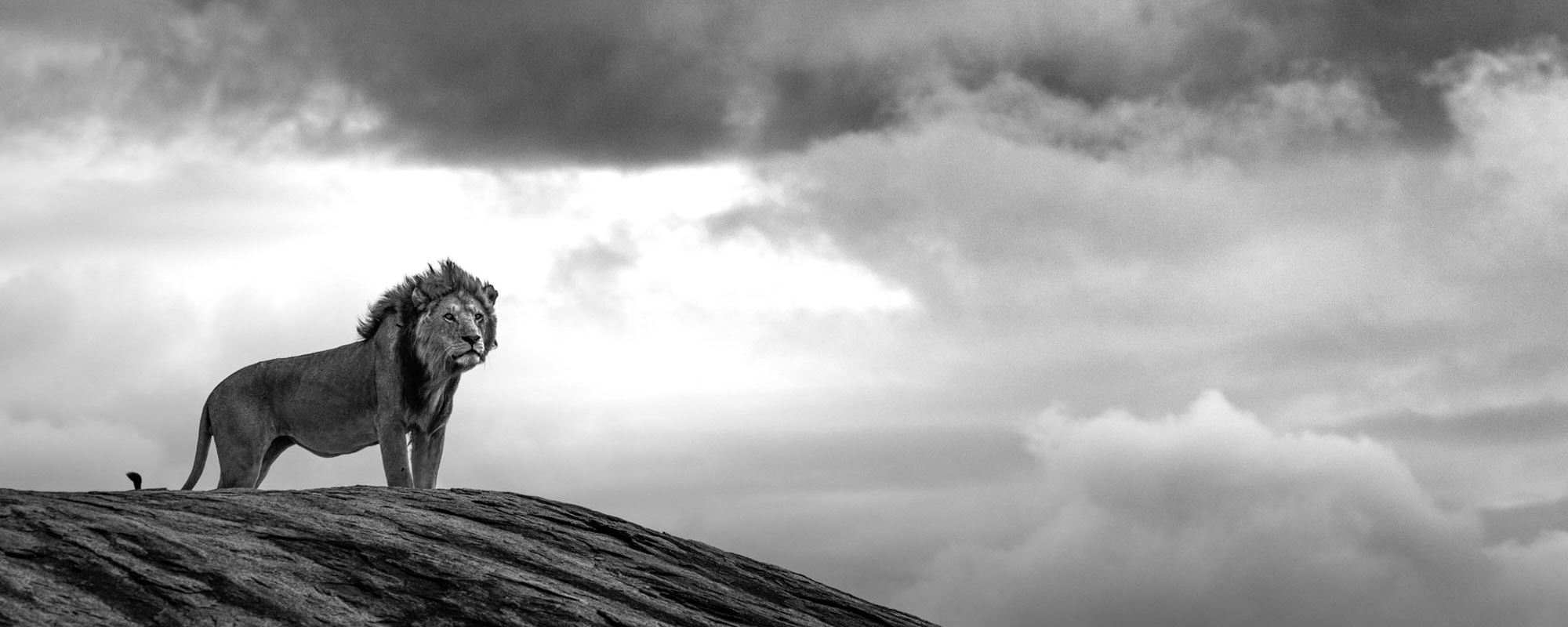 Timeless Reign - John Siggesson - Photo Workshop Adventures