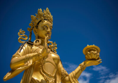 Great Buddha Dordenma Surrounding