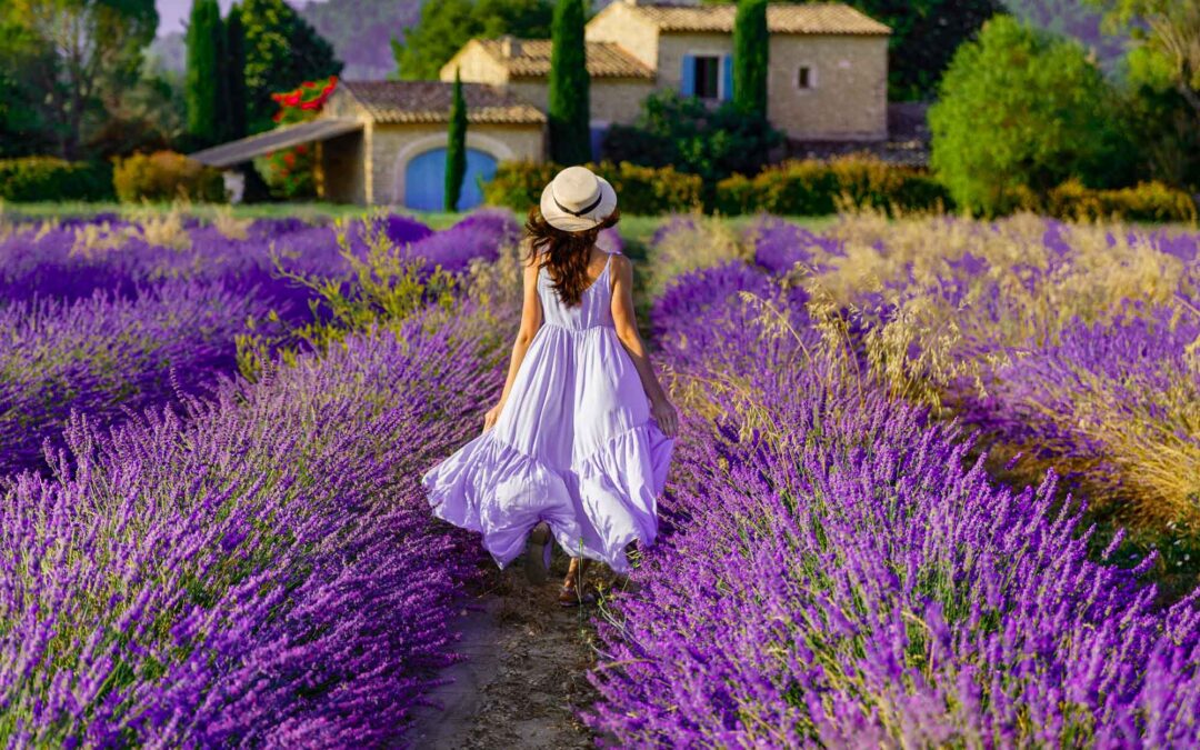 Let’s Go Lavender Chasing in the Villages and Hills of Provence