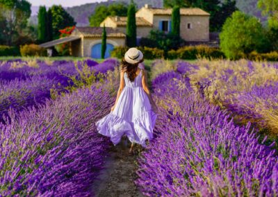 Provence, France. Charming Young Woman In Blooming Lavender Fiel