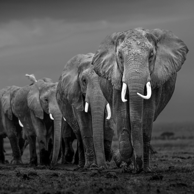 At The Foot Of The Mountain