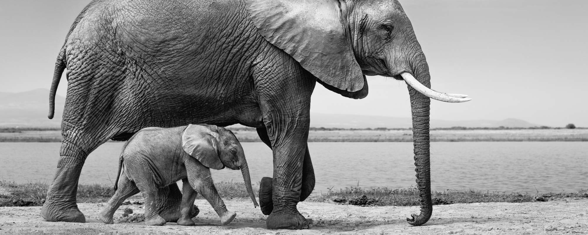 26 Photo Workshop Adventures Tuskers Kenya Johan Siggesson