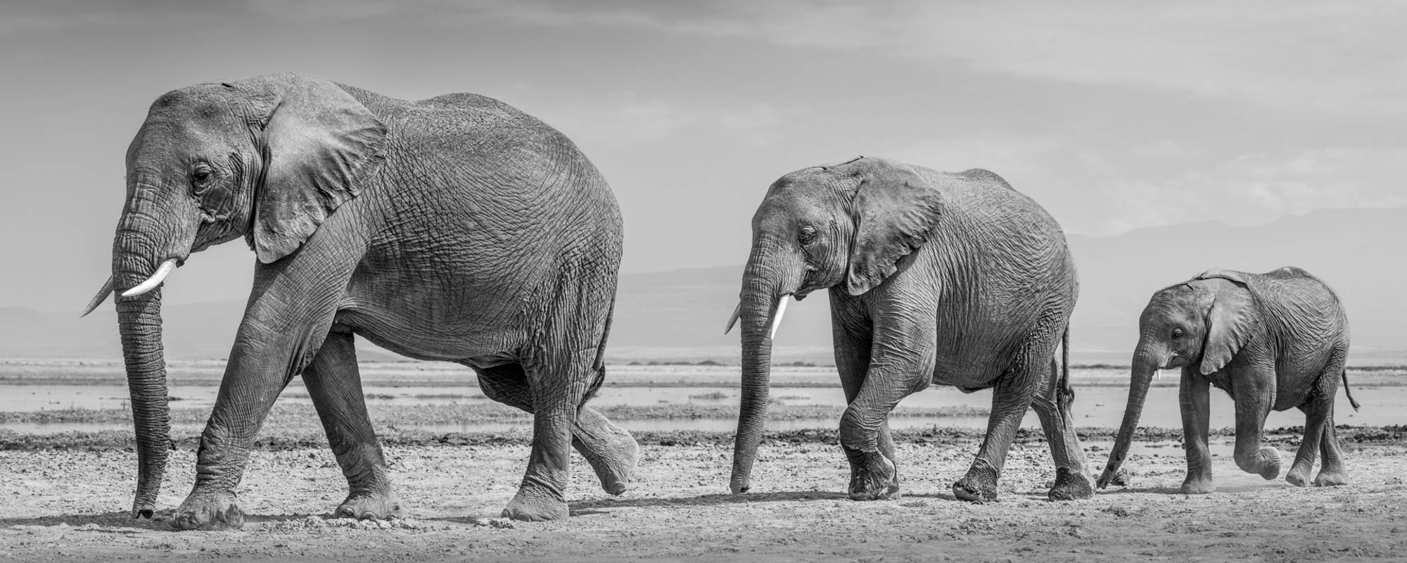 Generations - Johan Siggesson - Photo Workshop Adventures