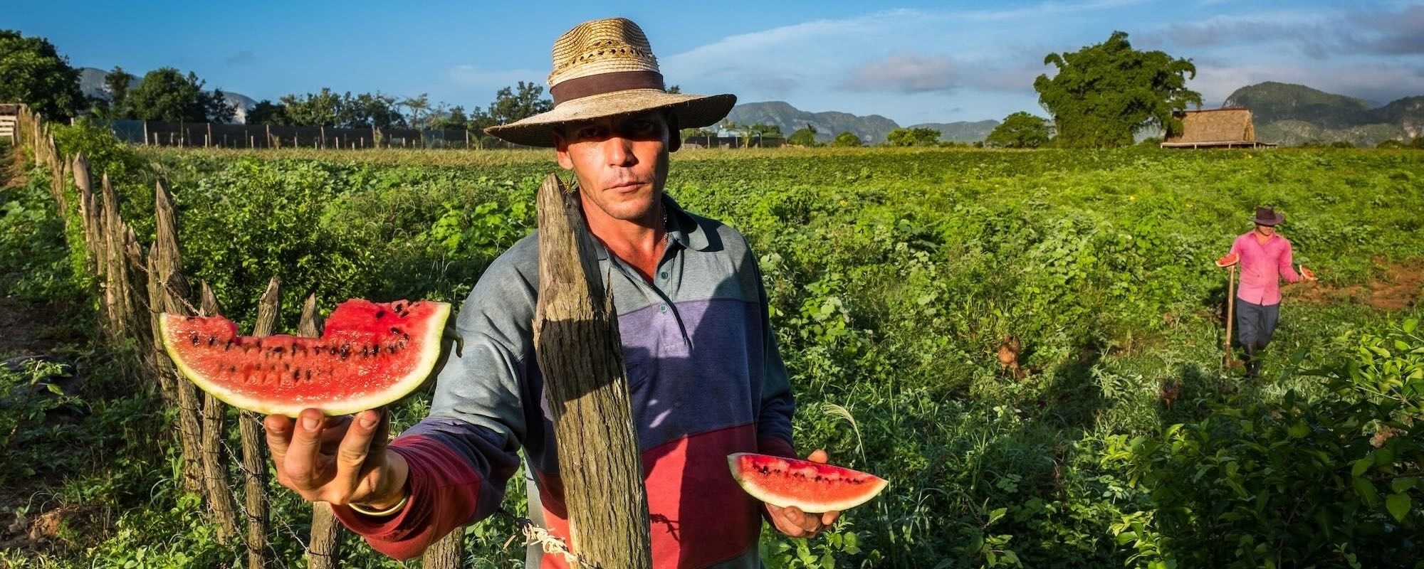 291 SWEET WATERMELON Michael Chinnici Vanishing Cuba Photo Workshop Adventures Pano R