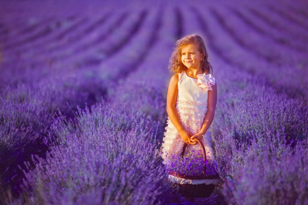 Smiling Girl Sniffing Flowers In A Lavender Field