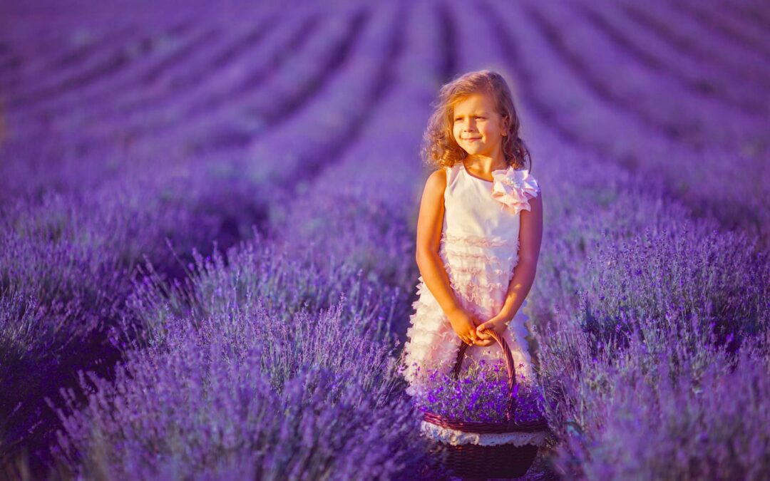 LAST CALL! Provence Photo Tour – July 10-16, 2026 (Only 2 Spots Left)