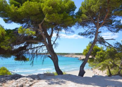 Sainte Croix Beach In The South Of France