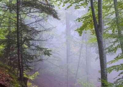 19 Photo Workshop Adventures Michael Chinnici Romania