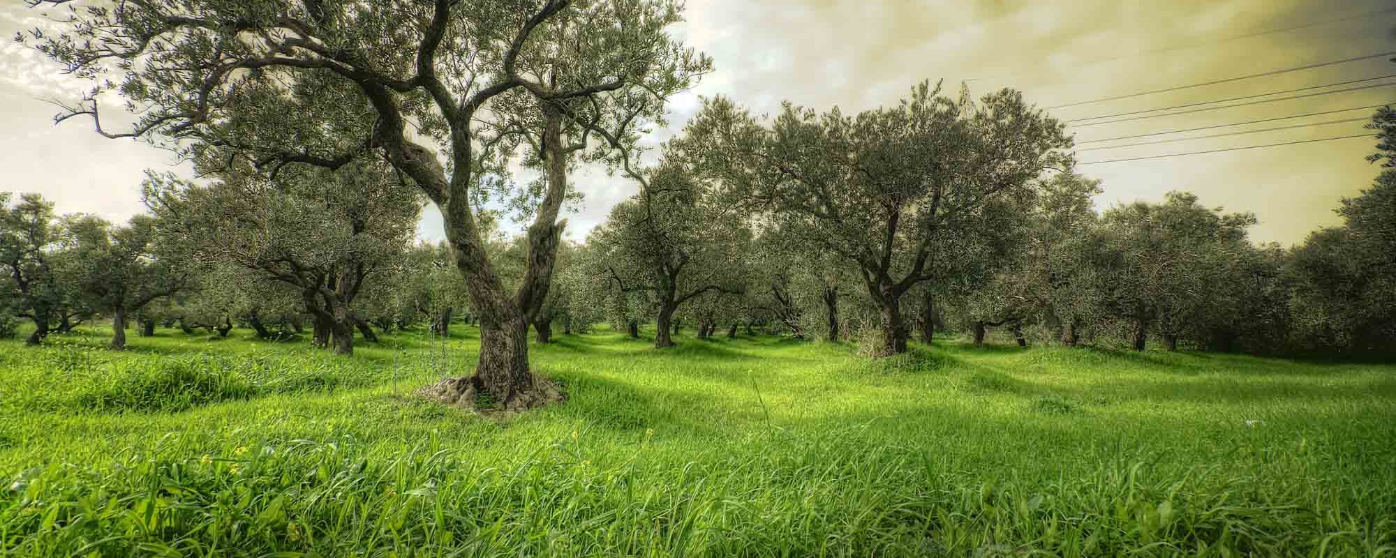 09 Photo Workshop Adventures Portugal