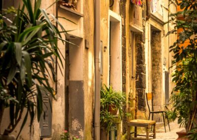 Narrow Streets Of Cinque Terre Decorated With Green Plants, Vern