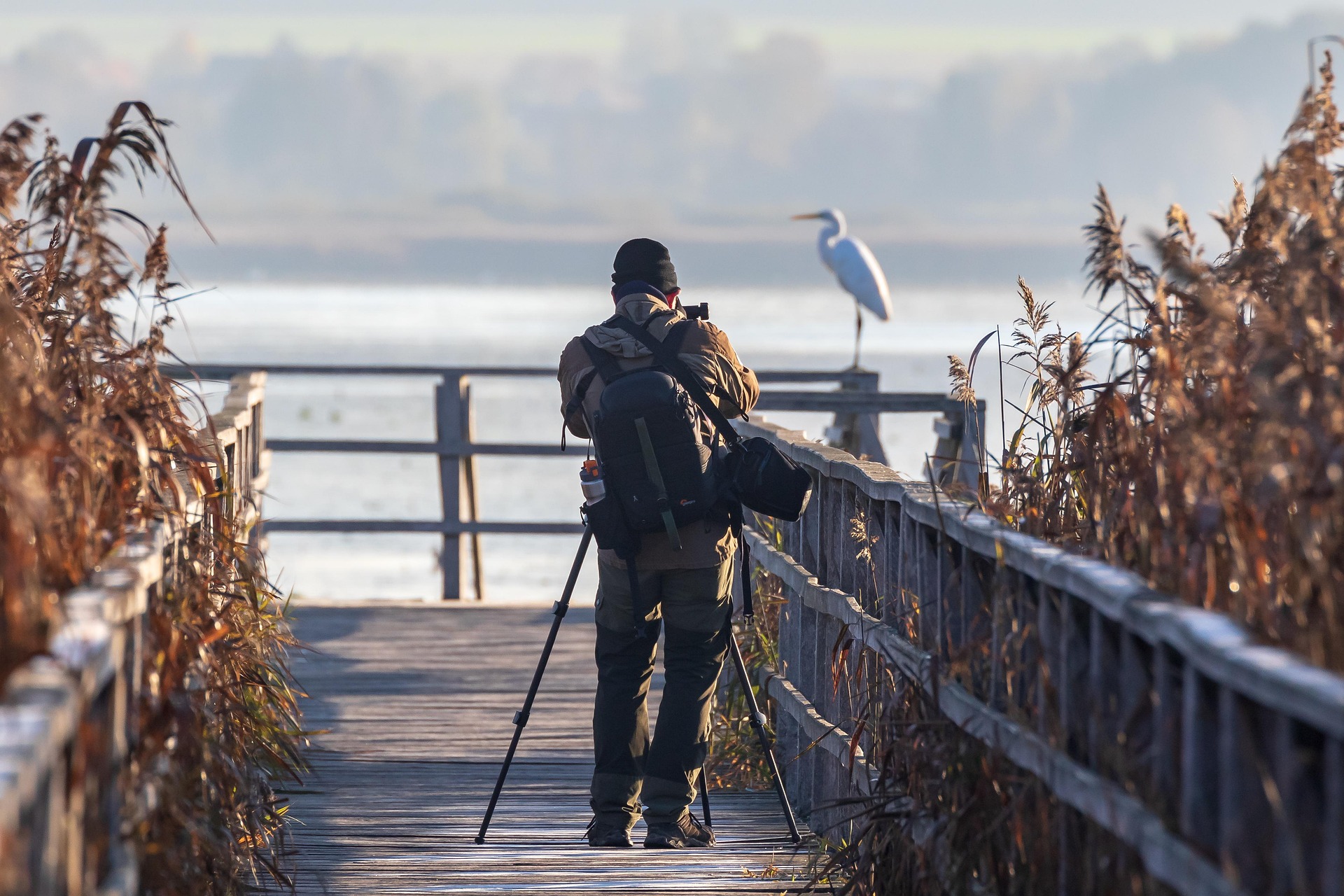 Camera Gear And Tripod Camera Gear And Tripod
