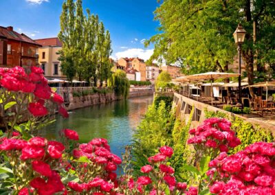 Ljubljana Green Riverfront Promenade Walkway Summer View Through