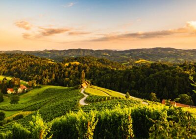 Famous Heart Shaped Street At Vineyards In Slovenia Close To The