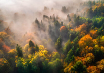 Aerial View Of Beautiful Colorful Autumn Forest In Low Clouds At