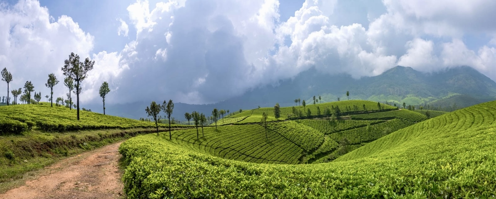 47 Photo Workshop Adventures India Kerala 19 Pano