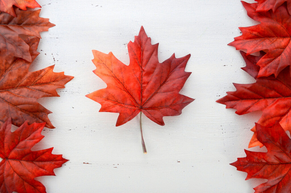 Canada Maple Leaves Canada Maple Leaves