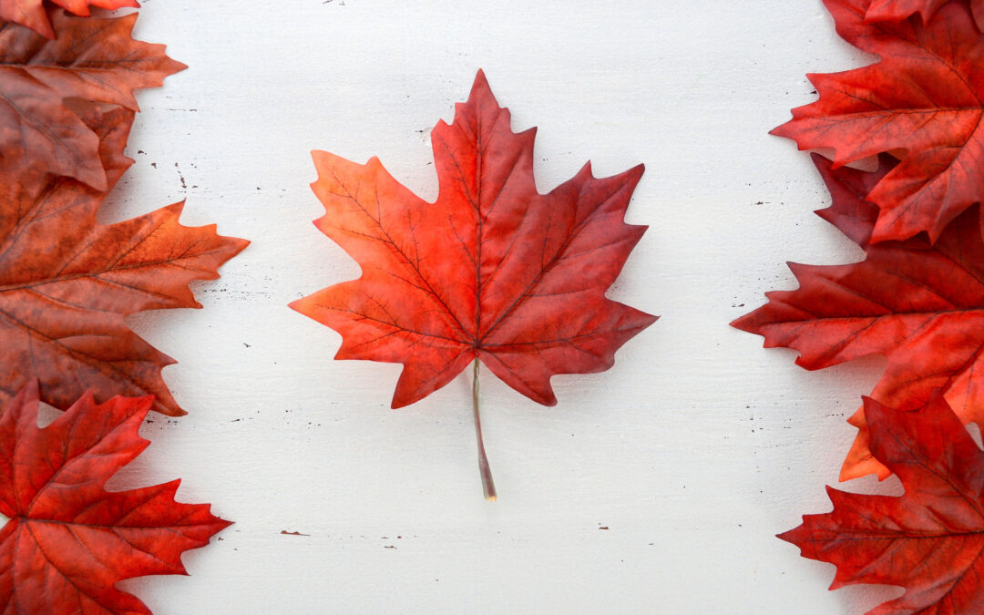 A Taste of Canada: Foods to Try on Your Banff & Lake Louise Adventure